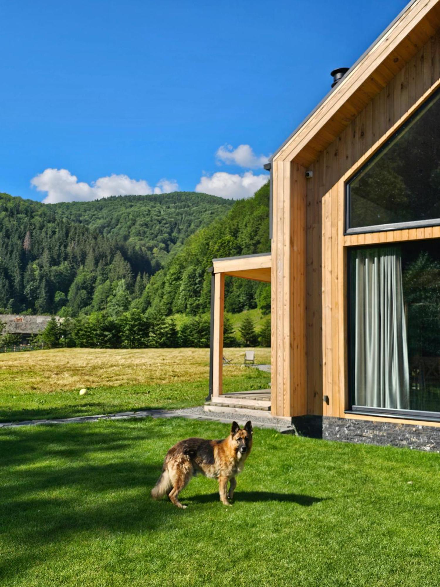 Vama Chalet Vama Buzăului Esterno foto