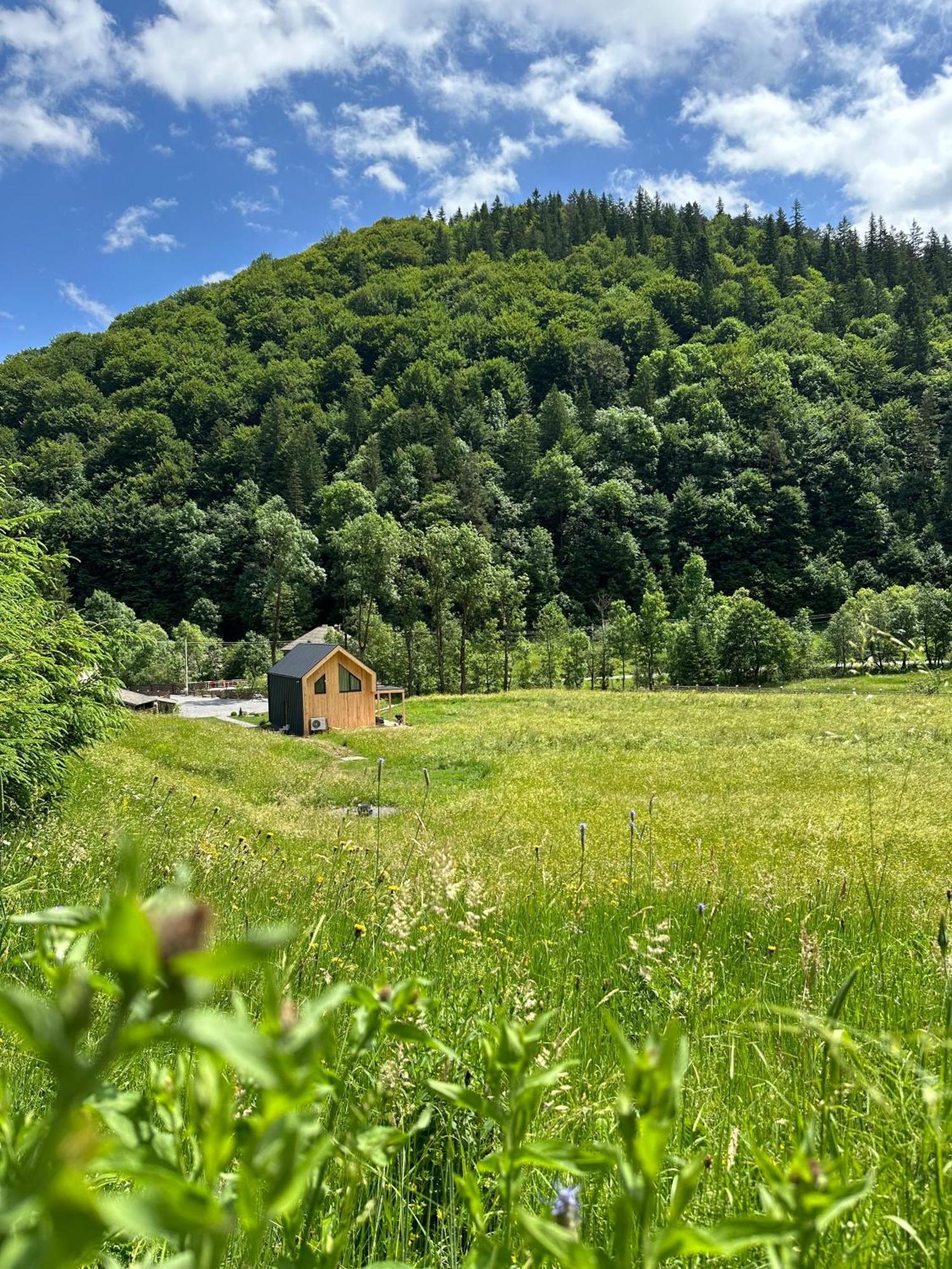 Vama Chalet Vama Buzăului Esterno foto
