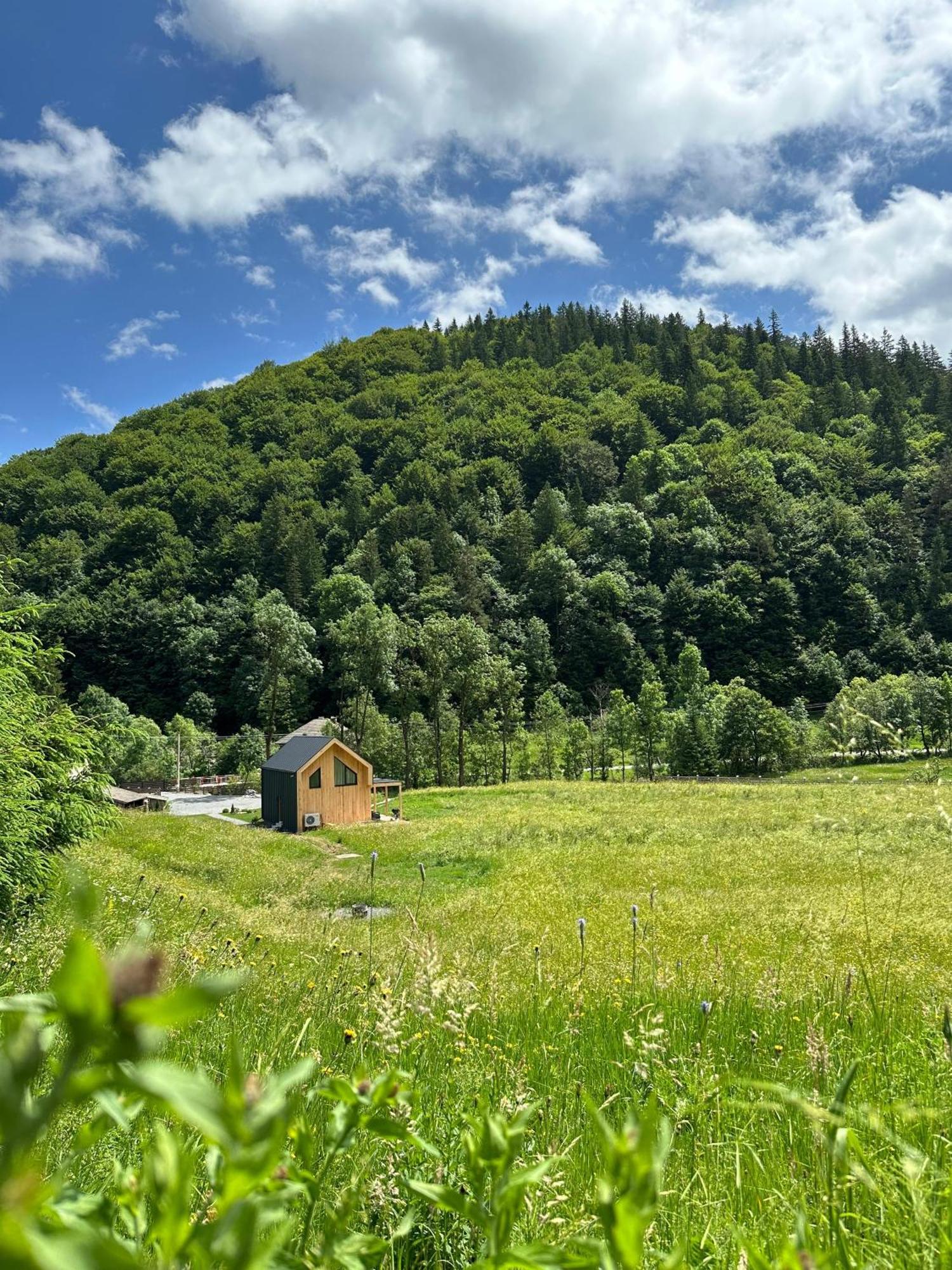Vama Chalet Vama Buzăului Esterno foto